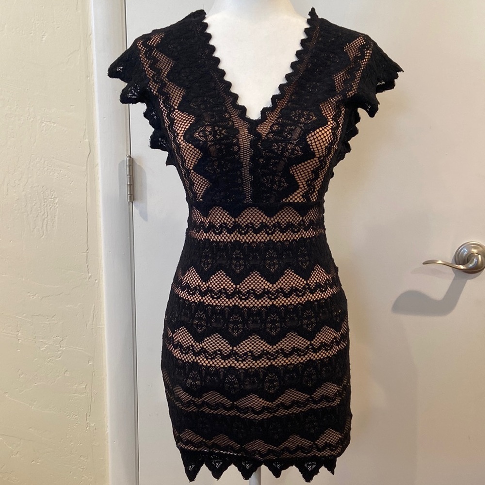 Nightcap Lace Bodycon